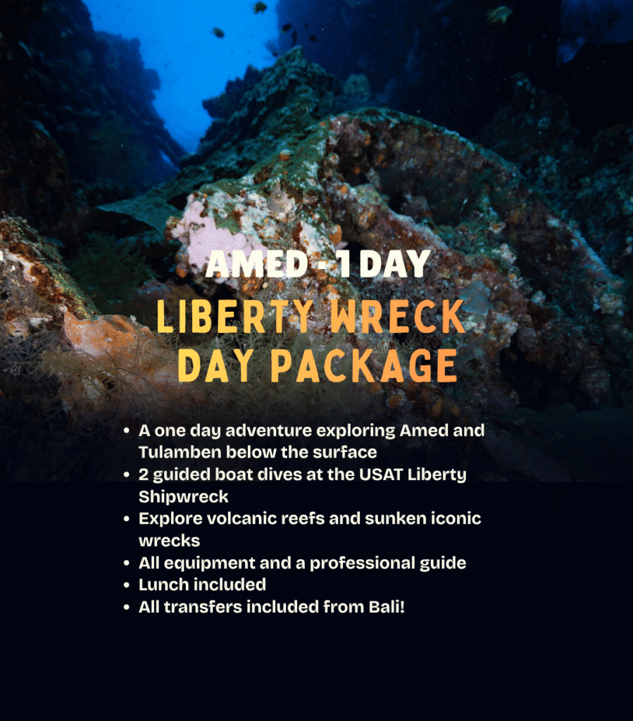 View Liberty Wreck day diving package – explore the USAT Liberty shipwreck in Tulamben