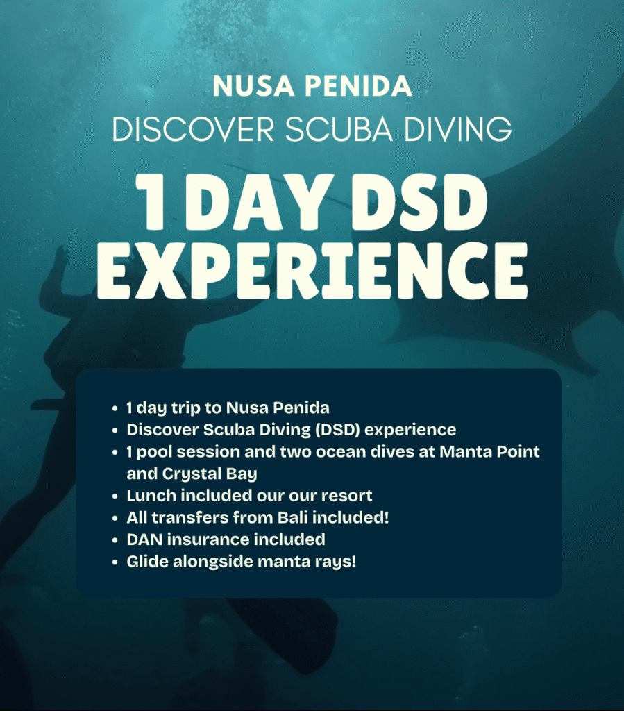 View Discover Scuba Diving day experience in Nusa Penida – pool training and 2 instructor-led ocean dives for beginners