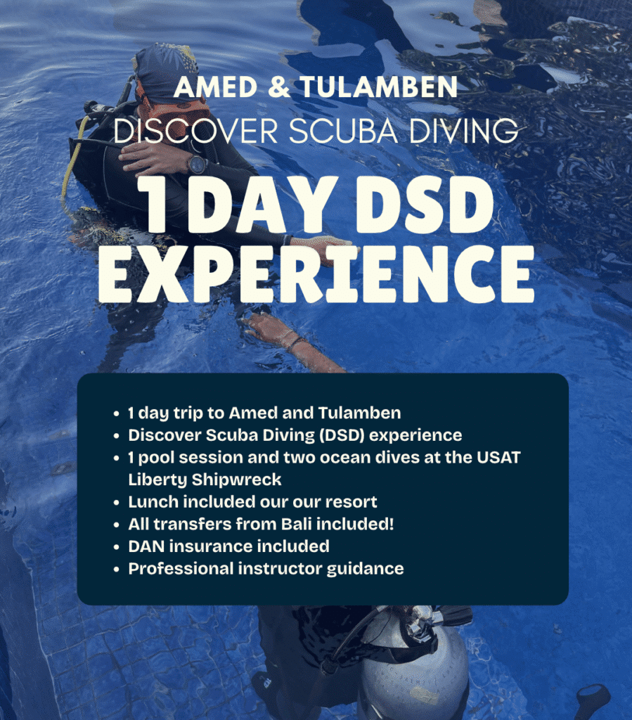 View Discover Scuba Diving day experience in Amed and Tulamben – pool training and 2 beginner ocean dives at the USAT Liberty wreck