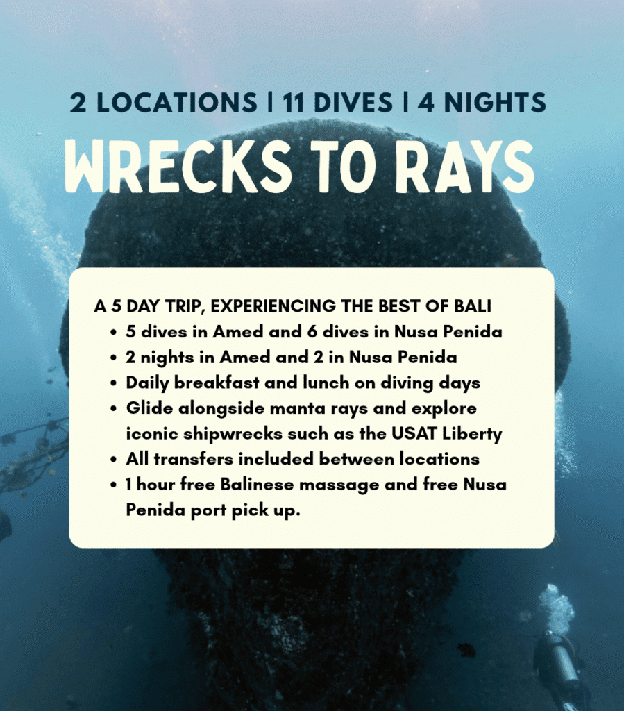 View Wrecks to Rays Bali dive safari – 11 dives and 4 nights exploring Amed’s wrecks and Nusa Penida’s reefs