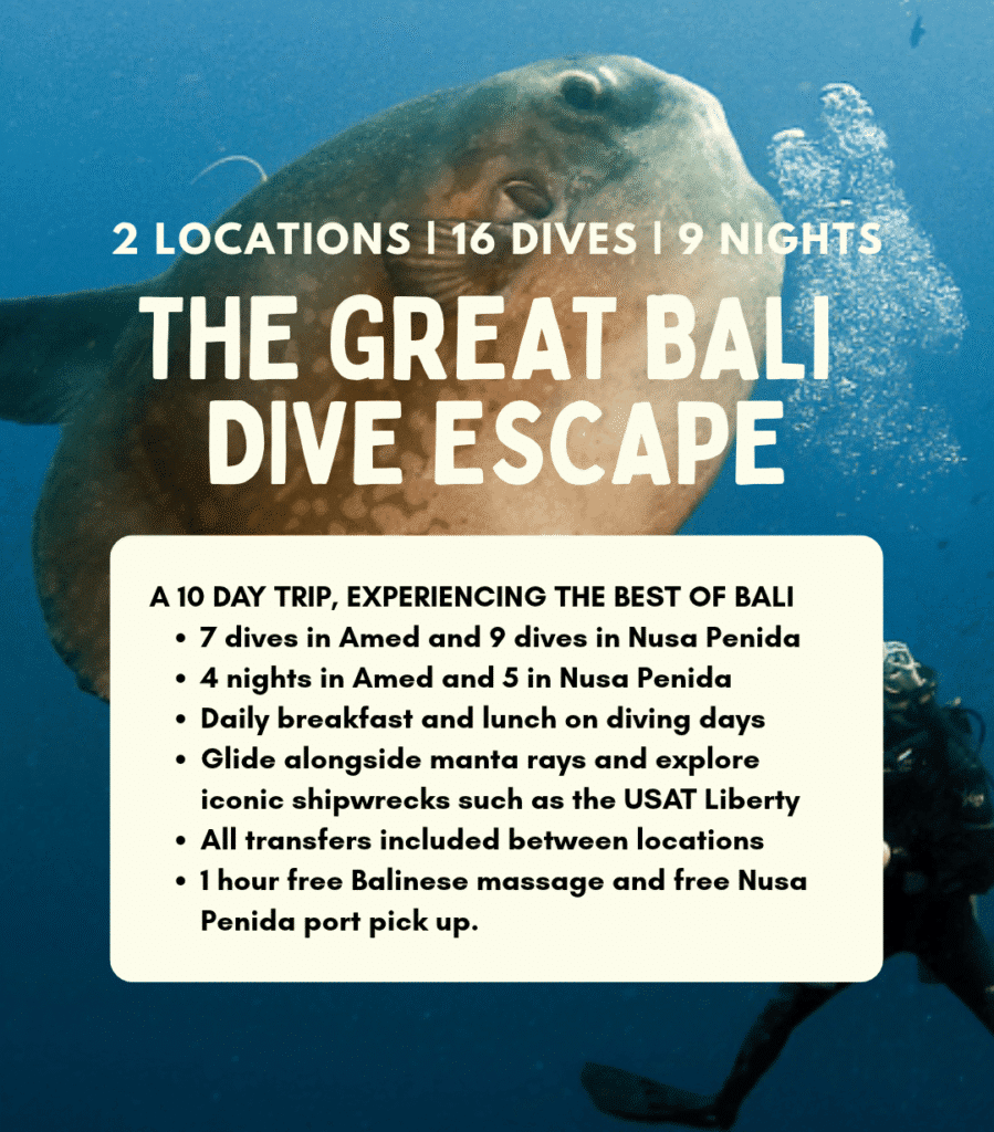 View Great Bali Dive Escape package – a scuba diving safari across Amed, Tulamben and Nusa Penida
