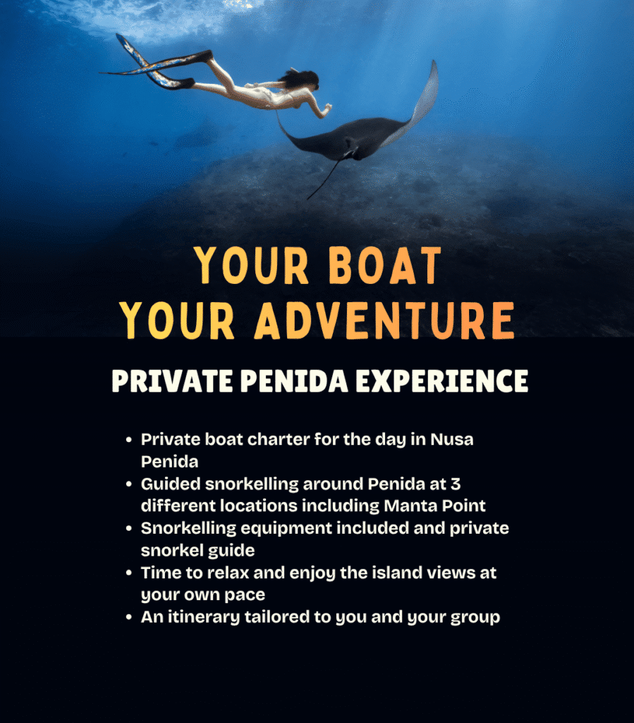 Enquire about a private boat charter in Nusa Penida – guided snorkelling and a personalised island itinerary