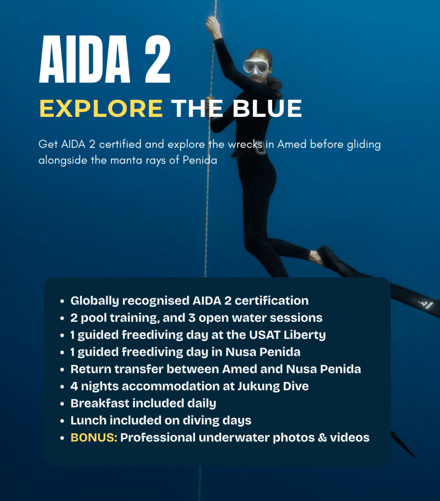 View AIDA 2 freediving course package – certification and guided freediving across Amed and Nusa Penida