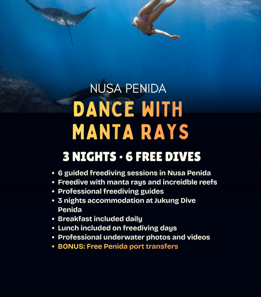 View Dance with Manta Rays freediving package – 3 nights and 6 guided freediving sessions in Nusa Penida