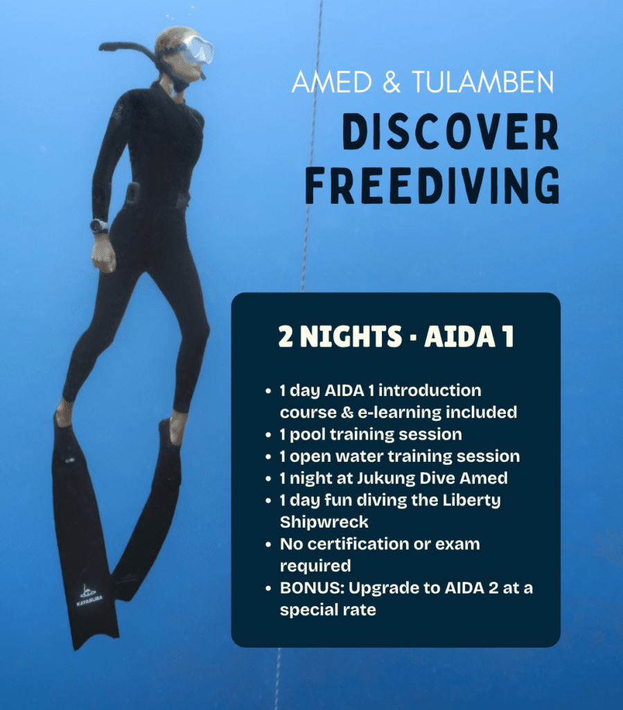 View Discover Freediving package in Amed – introductory AIDA 1 training and guided freediving at the USAT Liberty wreck