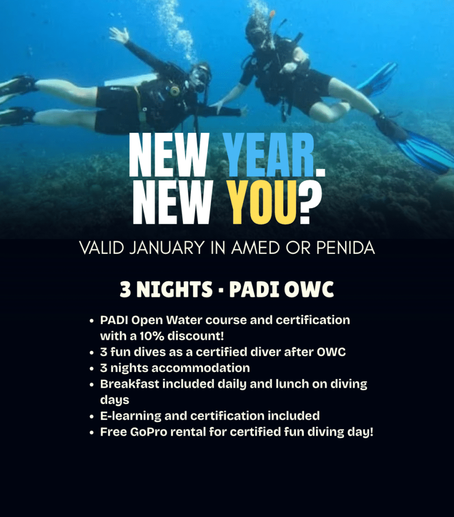 View New Year, New You diving offer – PADI course packages in Amed or Nusa Penida