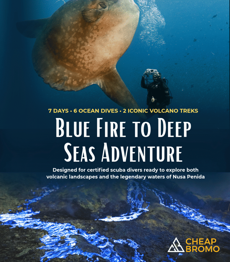 View Blue Fire to Deep Seas Adventure – 7 days combining Nusa Penida scuba diving with Java volcano treks