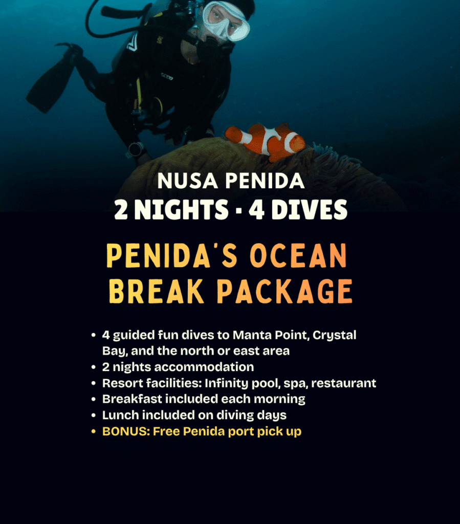 View Penida’s Ocean Break package – a short diving stay in Nusa Penida