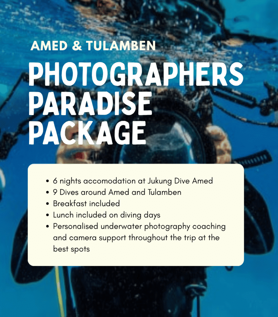 View Photographers Paradise diving package – 6 nights and 9 dives with underwater photography coaching in Amed and Tulamben