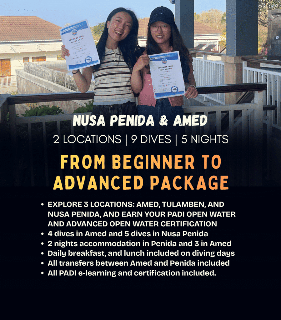View Beginner to Advanced Bali diving package – PADI Open Water and Advanced courses across Amed and Nusa Penida