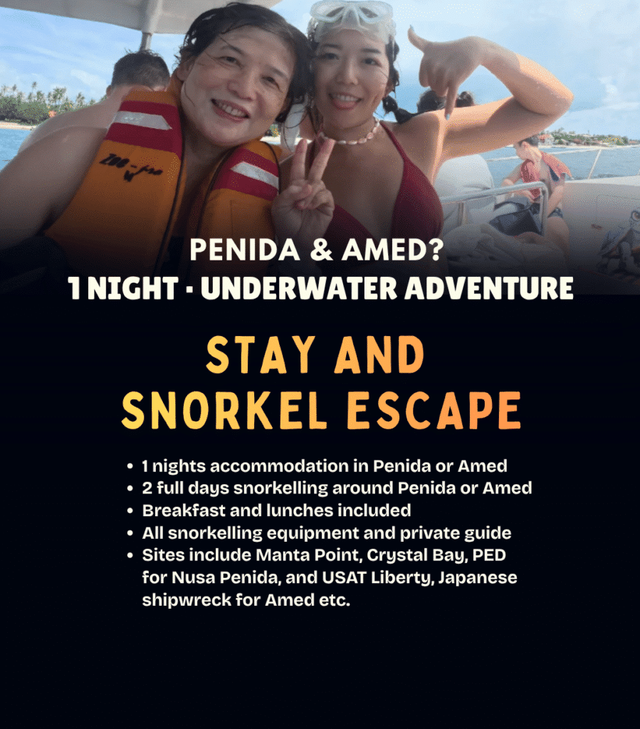 View Stay and Snorkel Escape package – 2 days of guided snorkelling with 1 night in Amed or Nusa Penida