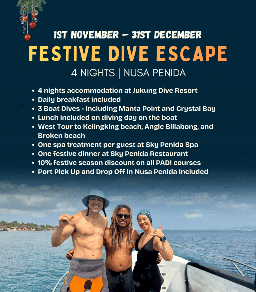 View Festive Dive Escape package in Nusa Penida – 4 nights with diving, an island tour and spa treatment