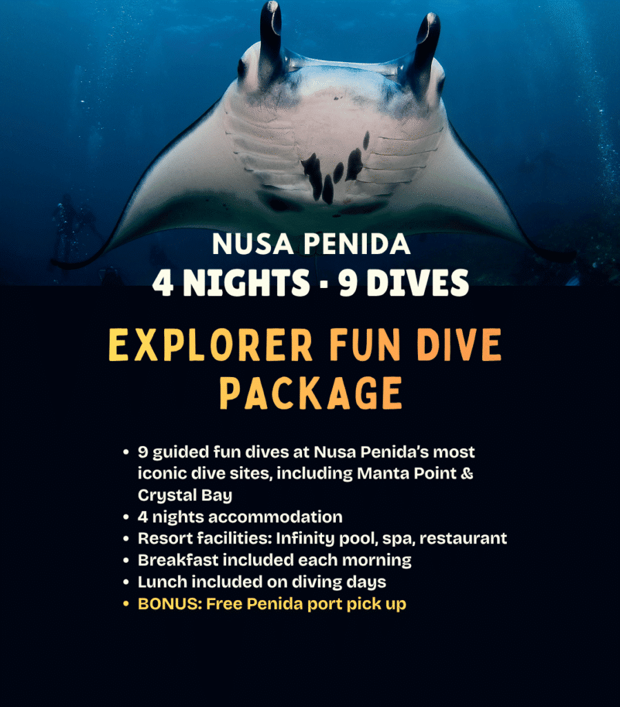 View Nusa Penida Explorer diving package – 4 nights and 9 guided dives with Jukung Dive