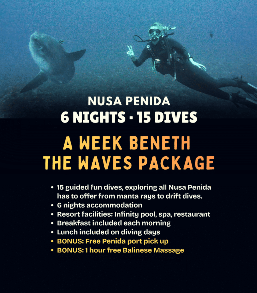 View A Week Beneath the Waves diving package – 6 nights and 15 dives in Nusa Penida