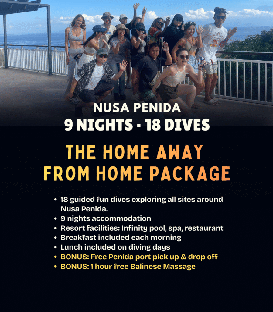 View Home Away From Home diving package – 9 nights and 18 dives in Nusa Penida