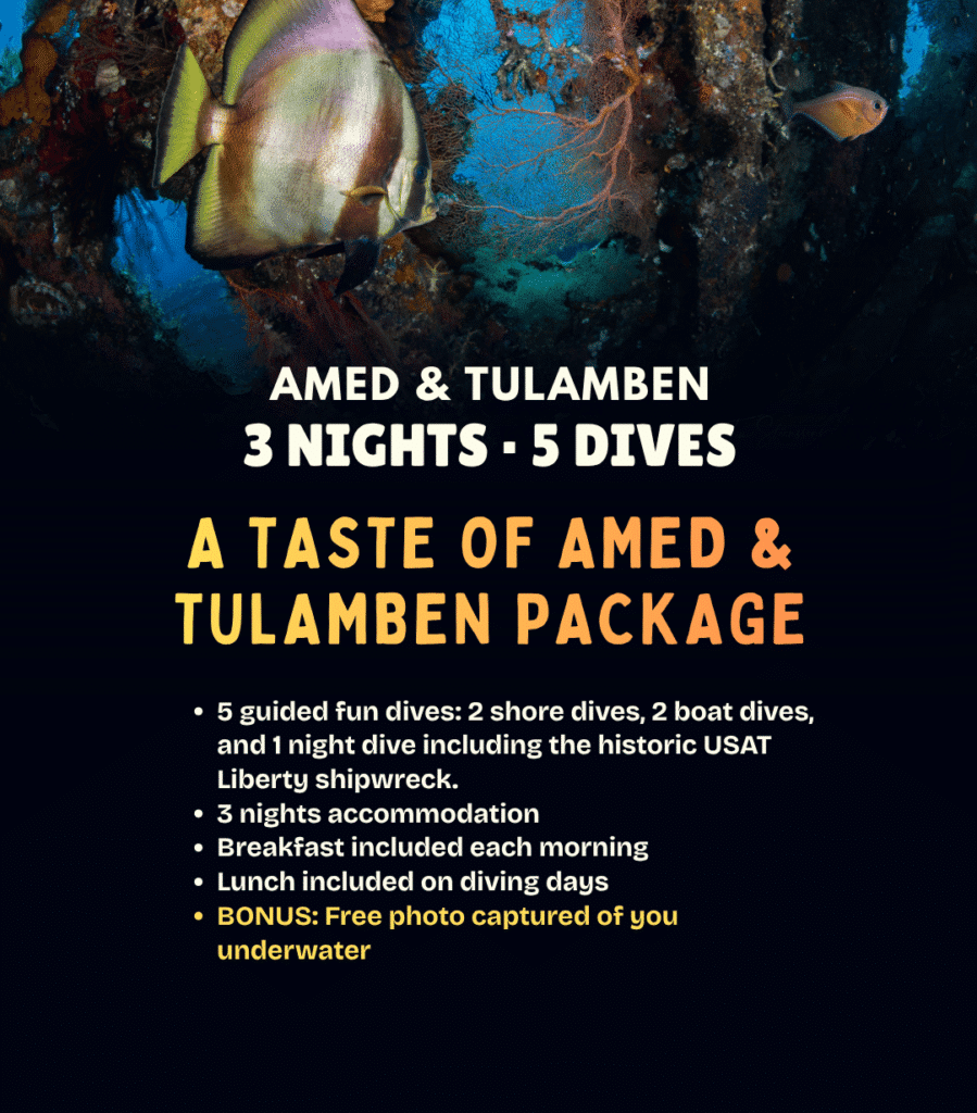 View A Taste of Amed and Tulamben diving package – 3 nights and 5 dives, including a night dive